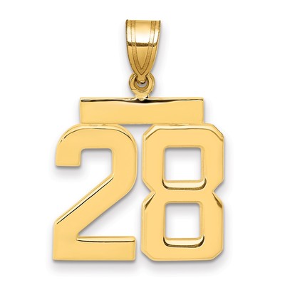 14k Medium Polished Number 28 Charm