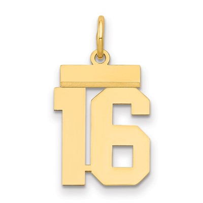 14k Small Polished Number 16 Charm