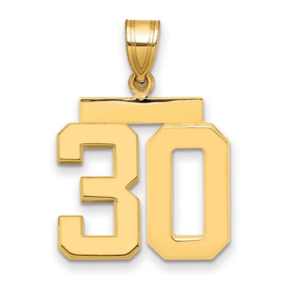 14k Medium Polished Number 30 Charm