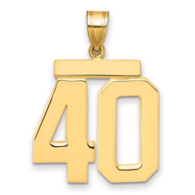 14k Large Polished Number 40 Charm