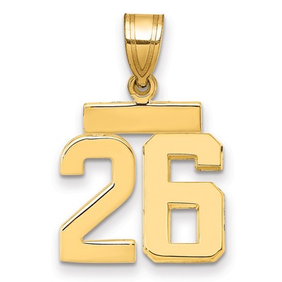 14k Small Polished Number 26 Charm