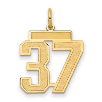 14k Medium Satin Number 37 Charm